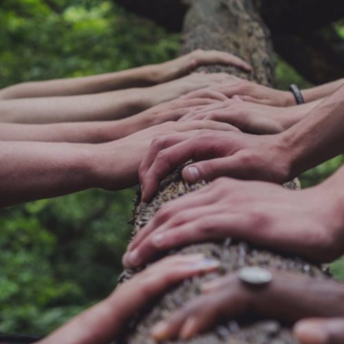 The hands of numerous people hold on to a wooden log during a communal activity.