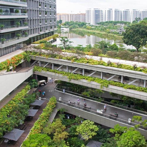 A bridge laden with trees and plants connects hospital buildings at a healthcare facility in Singapore.
